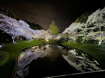 浜名湖花博2024に投稿された画像（2024/4/5）