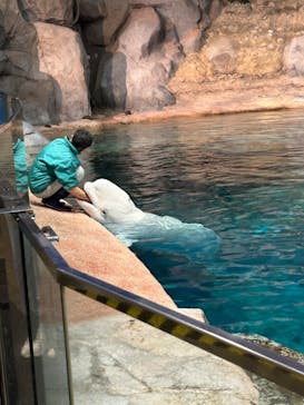 名古屋港水族館に投稿された画像（2024/4/5）