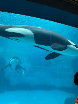 名古屋港水族館に投稿された画像（2024/4/5）