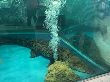 NIFREL（ニフレル）に投稿された画像（2024/4/6）