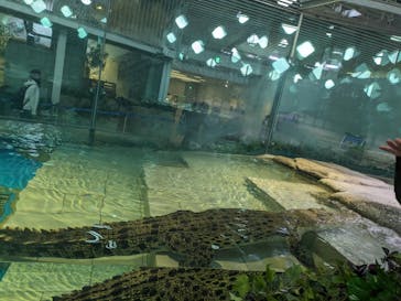 NIFREL（ニフレル）に投稿された画像（2024/4/6）