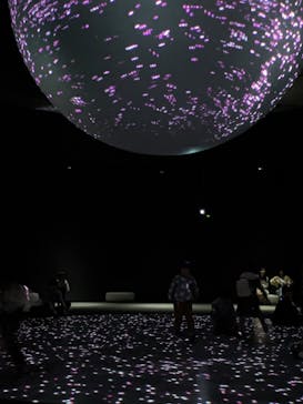 NIFREL（ニフレル）に投稿された画像（2024/4/6）