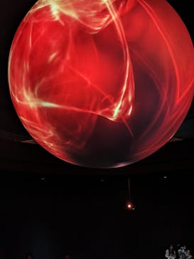 NIFREL（ニフレル）に投稿された画像（2024/4/6）