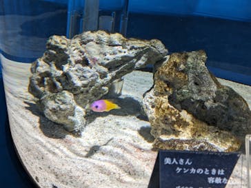 NIFREL（ニフレル）に投稿された画像（2024/4/6）