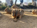伊豆シャボテン動物公園に投稿された画像（2024/4/6）