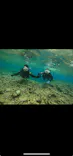 武藤潜水に投稿された画像（2024/4/6）