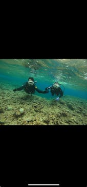 武藤潜水に投稿された画像（2024/4/6）