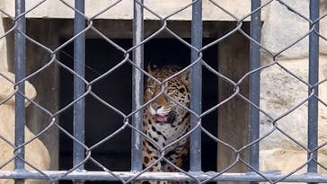 東武動物公園に投稿された画像（2024/4/6）