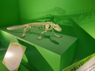オダイバ恐竜博覧会2024 -福井から“ヤツラ”が新幹線でやってくる！-に投稿された画像（2024/4/6）