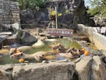伊豆シャボテン動物公園に投稿された画像（2024/4/6）