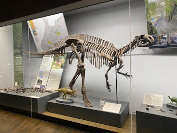 福井県立恐竜博物館に投稿された画像（2024/4/6）