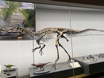 福井県立恐竜博物館に投稿された画像（2024/4/6）