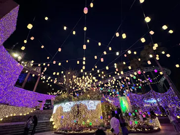 ひらかたパークに投稿された画像（2024/4/6）