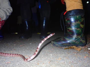 石垣島 ADVENTURE PiPi（イシガキジマアドベンチャーピピ）に投稿された画像（2024/4/6）