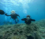 武藤潜水に投稿された画像（2024/4/6）