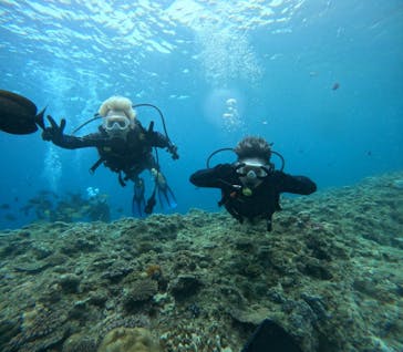 武藤潜水に投稿された画像（2024/4/6）