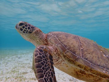 nico 宮古島に投稿された画像（2024/4/6）