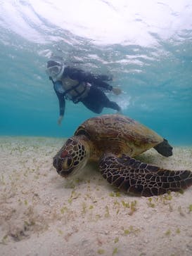 nico 宮古島に投稿された画像（2024/4/6）