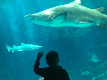 マリンワールド海の中道に投稿された画像（2024/4/6）