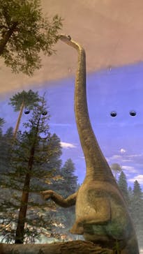 福井県立恐竜博物館に投稿された画像（2024/4/6）