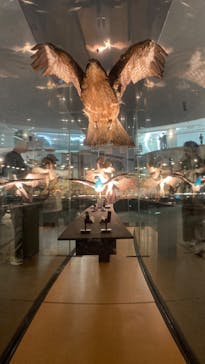 福井県立恐竜博物館に投稿された画像（2024/4/6）