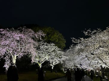 浜名湖花博2024に投稿された画像（2024/4/6）