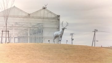 アクアイグニス仙台　藤塚の湯に投稿された画像（2024/4/6）