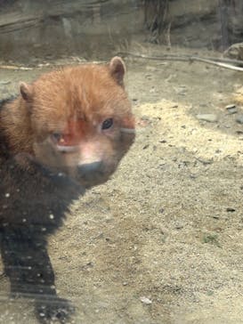 神戸どうぶつ王国に投稿された画像（2024/4/6）