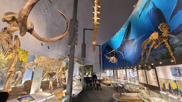 福井県立恐竜博物館に投稿された画像（2024/4/6）