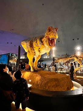 福井県立恐竜博物館に投稿された画像（2024/4/6）