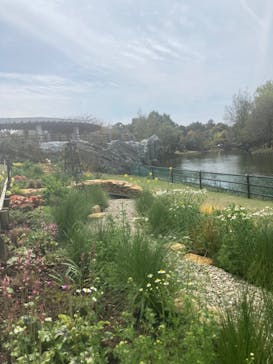 浜名湖花博2024に投稿された画像（2024/4/6）