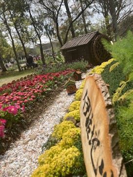 浜名湖花博2024に投稿された画像（2024/4/6）