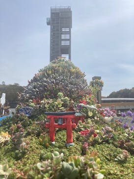 浜名湖花博2024に投稿された画像（2024/4/6）