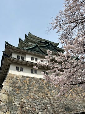 名古屋城に投稿された画像（2024/4/6）