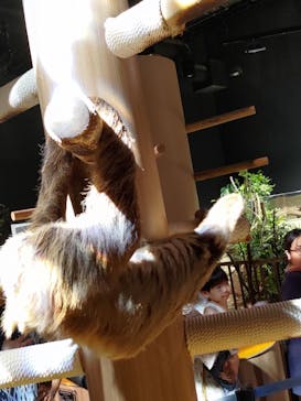 DMMかりゆし水族館に投稿された画像（2024/4/6）