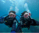 武藤潜水に投稿された画像（2024/4/6）