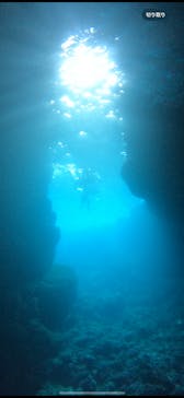 武藤潜水に投稿された画像（2024/4/6）