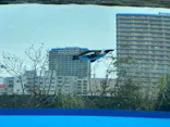 サンシャイン水族館に投稿された画像（2024/4/6）