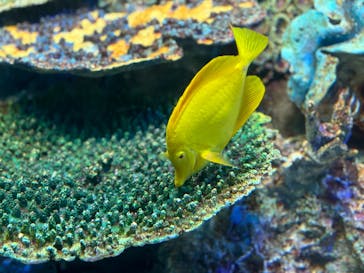 サンシャイン水族館に投稿された画像（2024/4/6）