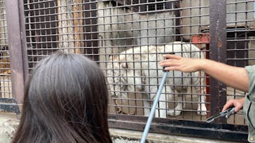 宇都宮動物園に投稿された画像（2024/4/6）