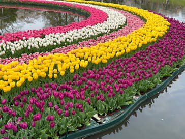 浜名湖花博2024に投稿された画像（2024/4/6）