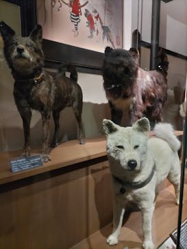 特別展「大哺乳類展３－わけてつなげて大行進」に投稿された画像（2024/4/6）