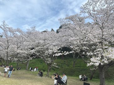 浜名湖花博2024に投稿された画像（2024/4/6）