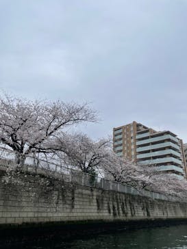 東京ウォータウェイズに投稿された画像（2024/4/6）