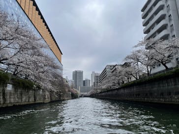 東京ウォータウェイズに投稿された画像（2024/4/6）