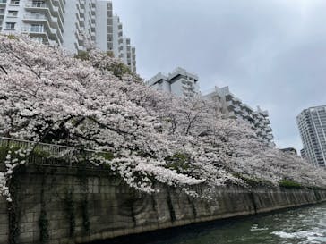 東京ウォータウェイズに投稿された画像（2024/4/6）