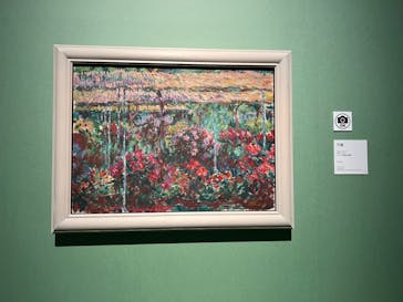 モネ　連作の情景に投稿された画像（2024/4/6）