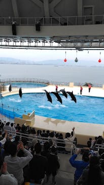 マリンワールド海の中道に投稿された画像（2024/4/6）