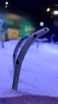 マリンワールド海の中道に投稿された画像（2024/4/6）