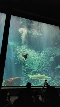 マリンワールド海の中道に投稿された画像（2024/4/6）